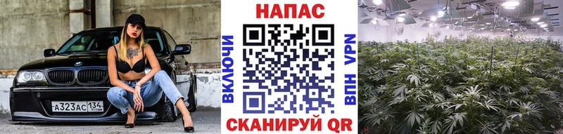 Купить закладку COCAIN  Галлюциногенные грибы  ГАШ  Марихуана  МЕФ  Пролетарск