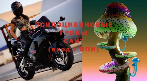 метадон Касимов