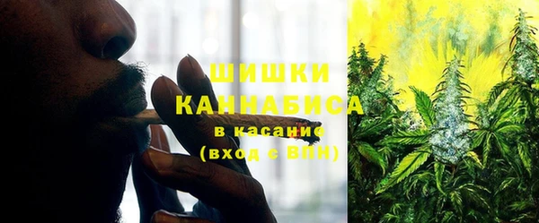 метадон Касимов